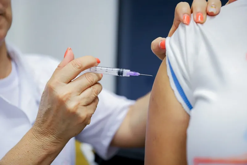 Febre amarela e dengue: entenda as diferenças e os riscos das doenças
