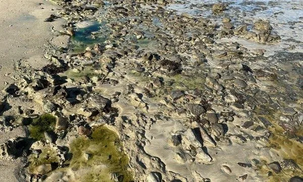Foto: Arquivo pessoal/G1 Bahia