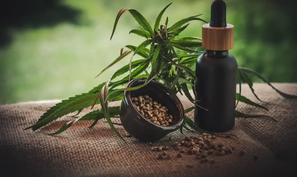 CBD-Infos-com/ Pixabay