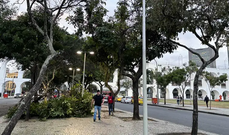 Ventania deixa dois mortos, um desaparecido e provoca transtornos no Rio de Janeiro Rio de Janeiro - 29/07/2026 - ventania causa estragos no Rio - Tânia Rêgo/Agência Brasil